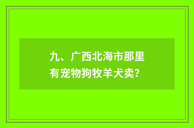 九、广西北海市那里有宠物狗牧羊犬卖?