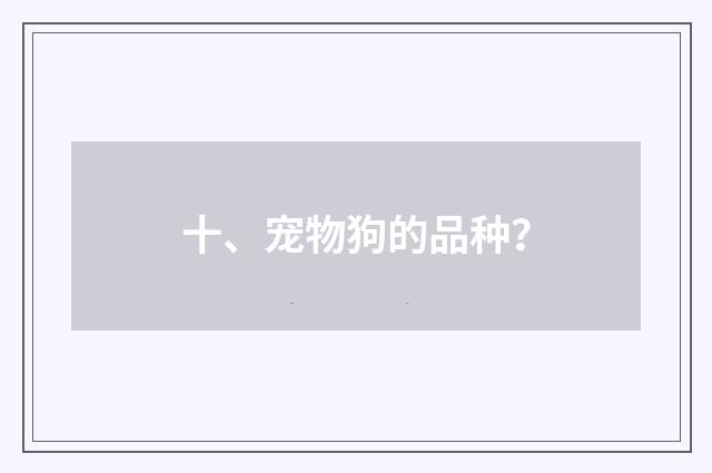 十、宠物狗的品种?