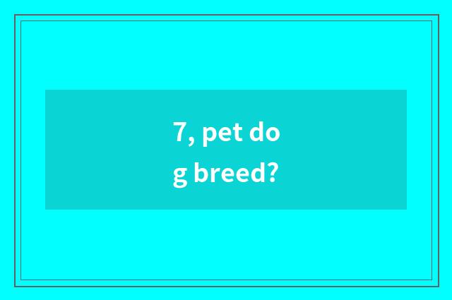 7, pet dog breed?