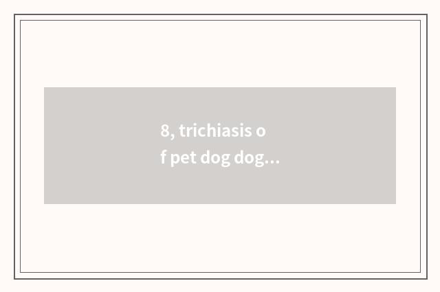 8, trichiasis of pet dog dog?
