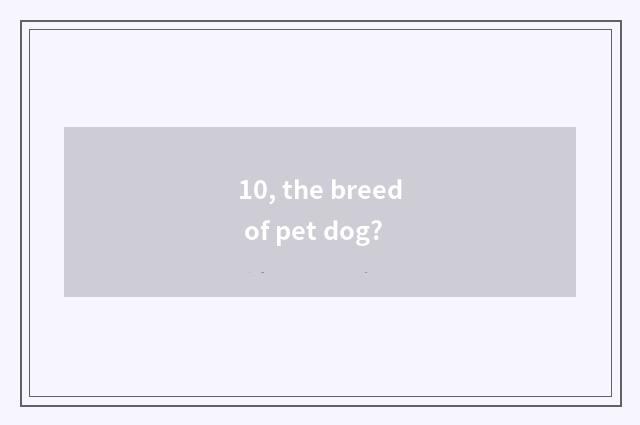 10, the breed of pet dog?