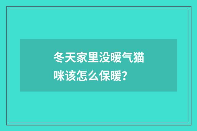 冬天家里没暖气猫咪该怎么保暖？