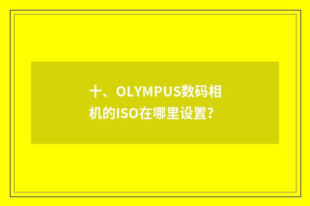 十、OLYMPUS数码相机的ISO在哪里设置?