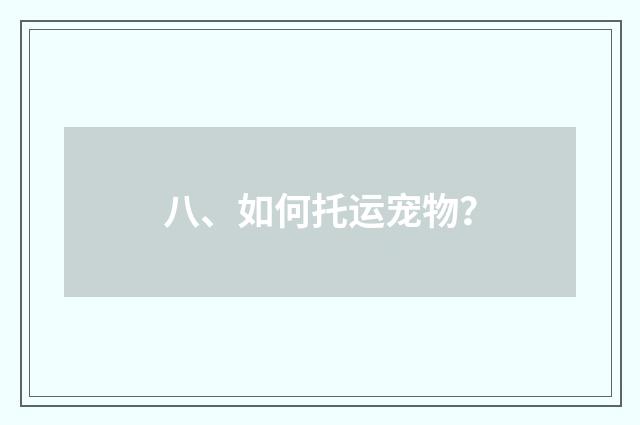 八、如何托运宠物？