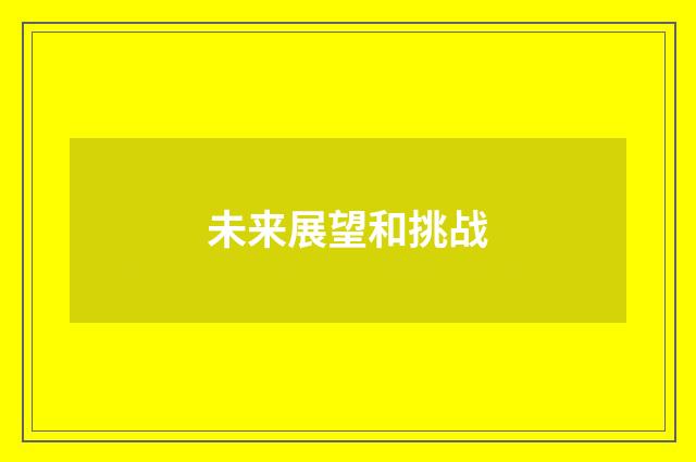 未来展望和挑战