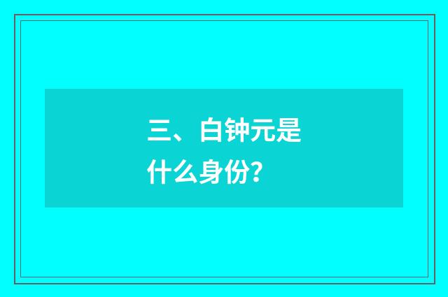 三、白钟元是什么身份?