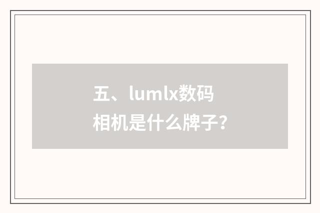 五、lumlx数码相机是什么牌子?