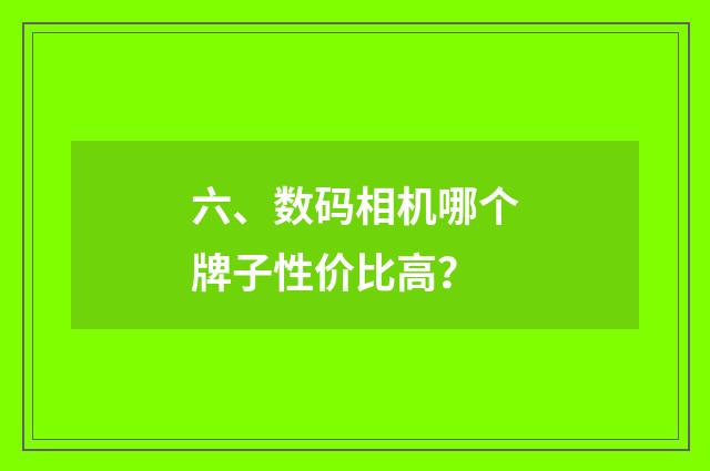 六、数码相机哪个牌子性价比高?