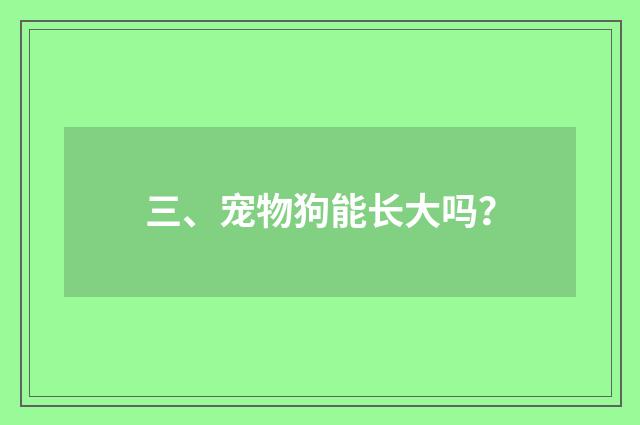 三、宠物狗能长大吗？