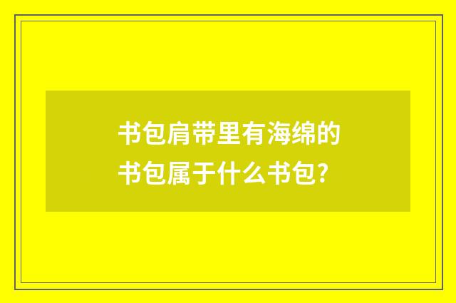书包肩带里有海绵的书包属于什么书包?