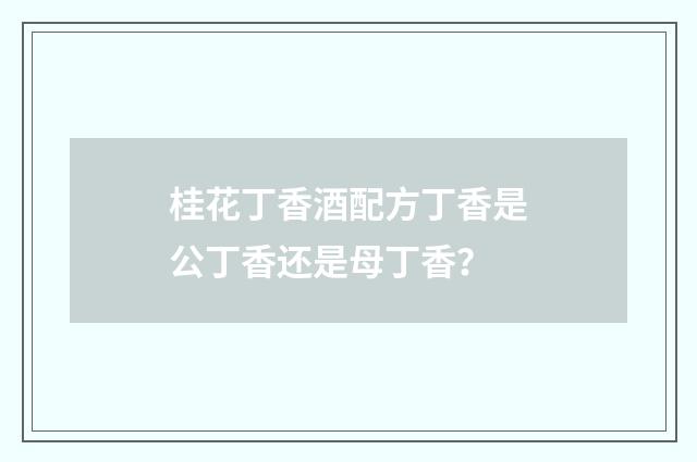 桂花丁香酒配方丁香是公丁香还是母丁香？