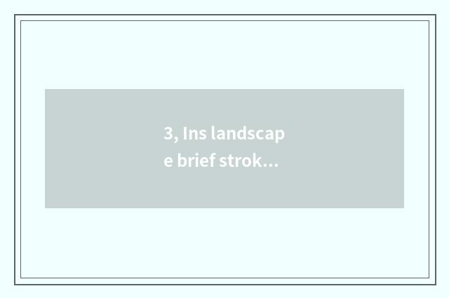 3, Ins landscape brief strokes?