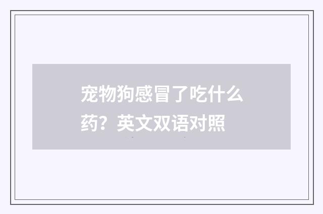 宠物狗感冒了吃什么药?英文双语对照