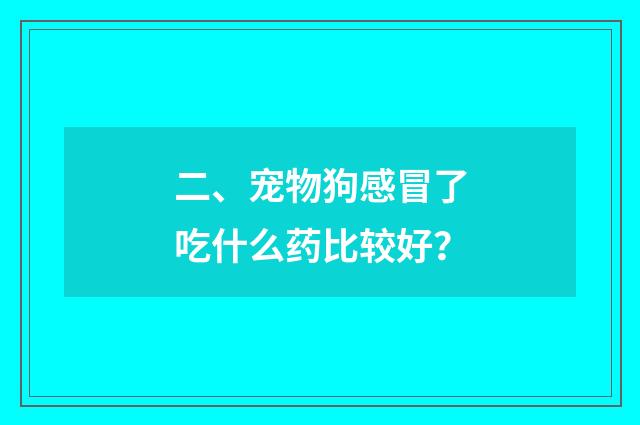 二、宠物狗感冒了吃什么药比较好?