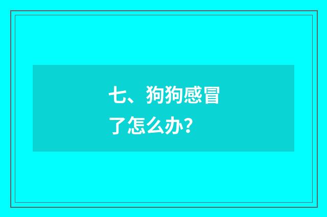 七、狗狗感冒了怎么办?