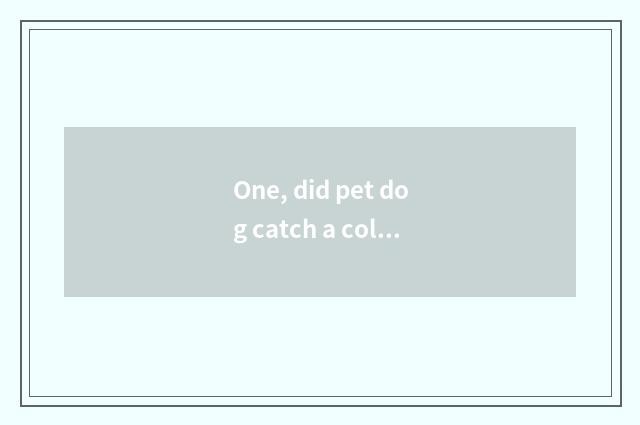 One, did pet dog catch a cold what to drug take?