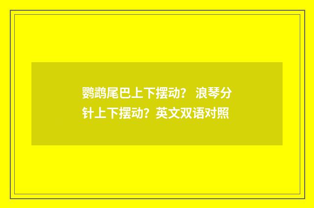 鹦鹉尾巴上下摆动？ 浪琴分针上下摆动？英文双语对照