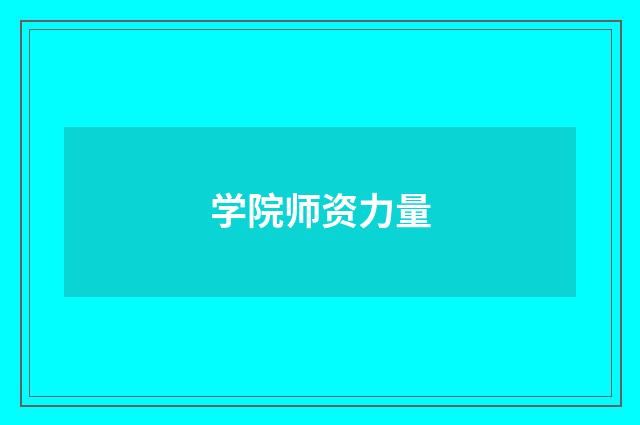 学院师资力量
