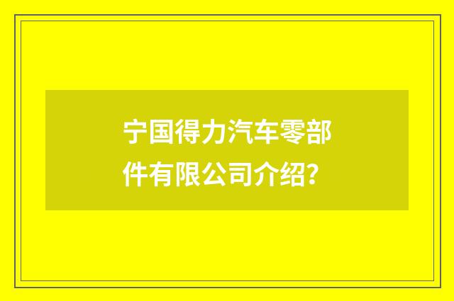 宁国得力汽车零部件有限公司介绍？