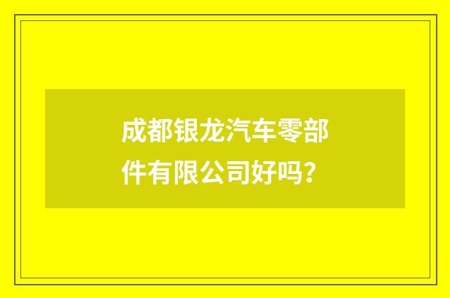 成都银龙汽车零部件有限公司好吗？
