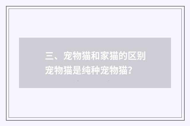三、宠物猫和家猫的区别宠物猫是纯种宠物猫？