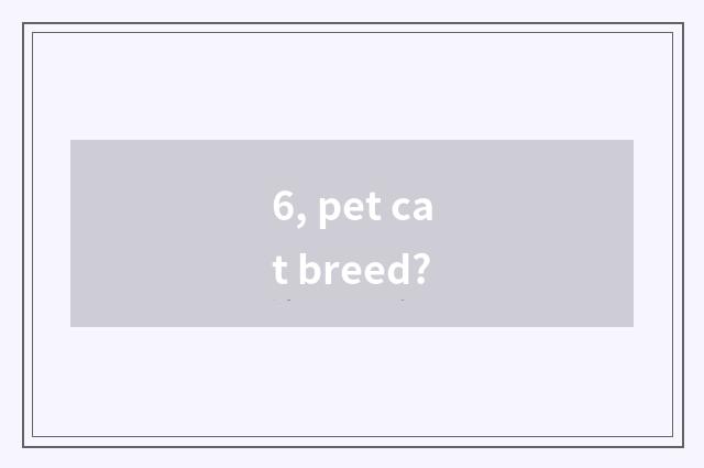 6, pet cat breed?