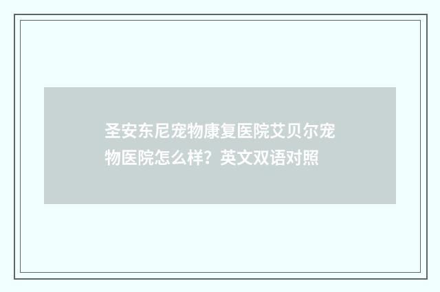 圣安东尼宠物康复医院艾贝尔宠物医院怎么样?英文双语对照