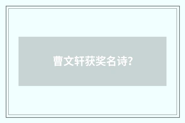 曹文轩获奖名诗?