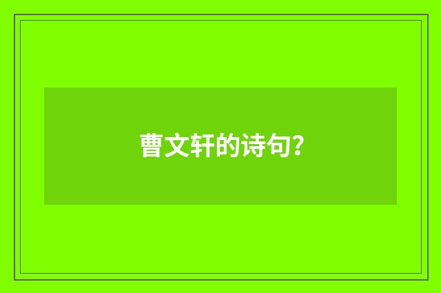 曹文轩的诗句?