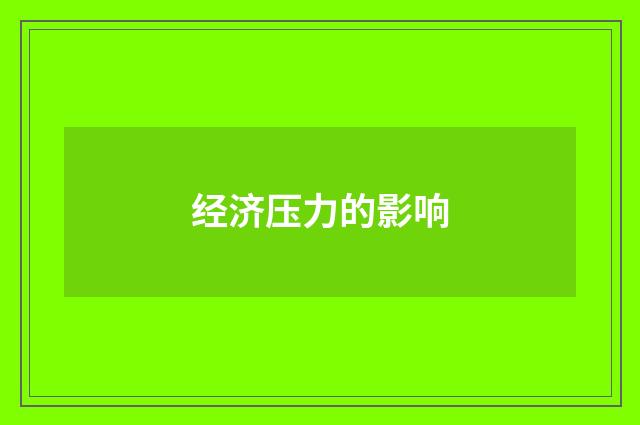 经济压力的影响
