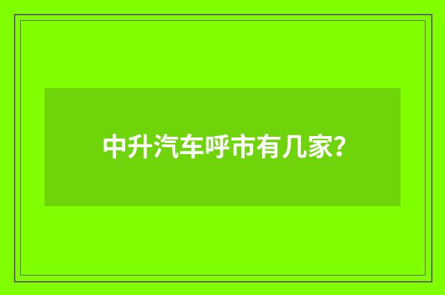 中升汽车呼市有几家?