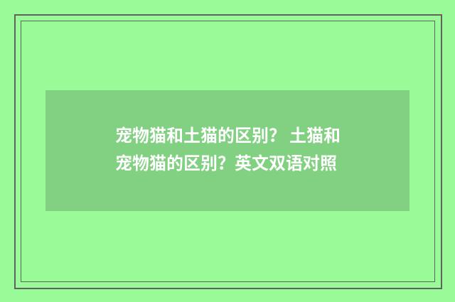 宠物猫和土猫的区别? 土猫和宠物猫的区别?英文双语对照