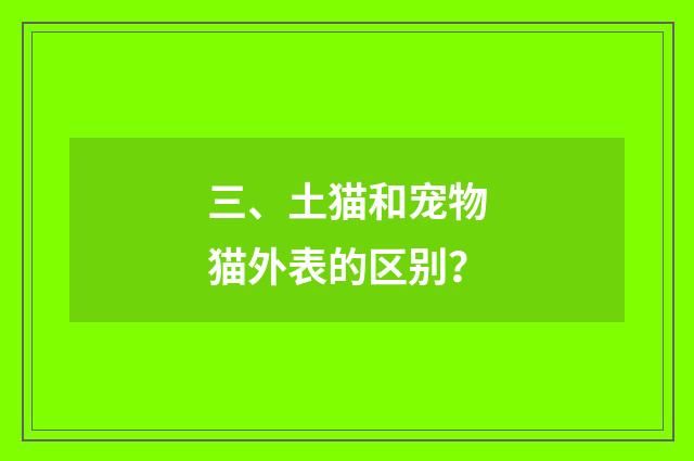 三、土猫和宠物猫外表的区别?