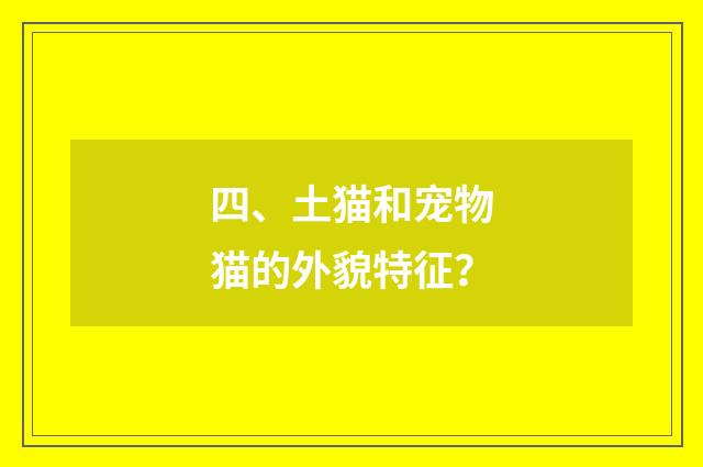 四、土猫和宠物猫的外貌特征？