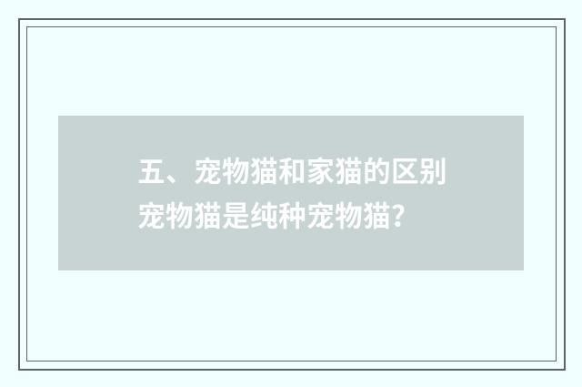 五、宠物猫和家猫的区别宠物猫是纯种宠物猫?