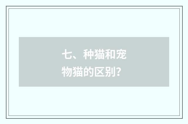 七、种猫和宠物猫的区别？