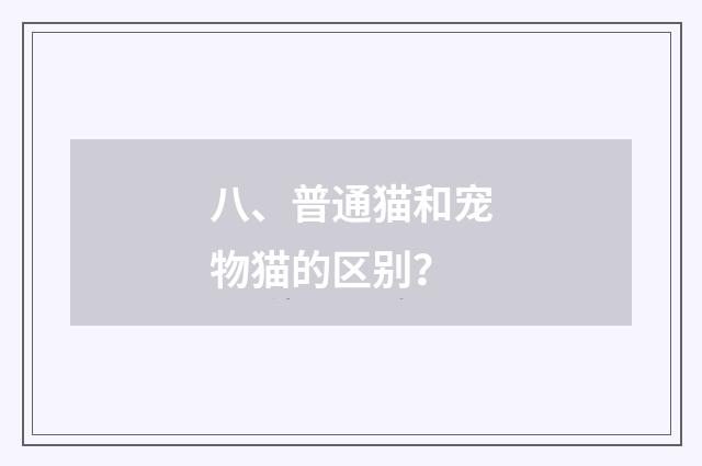 八、普通猫和宠物猫的区别？