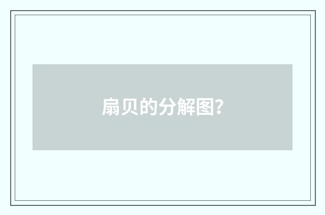 扇贝的分解图?