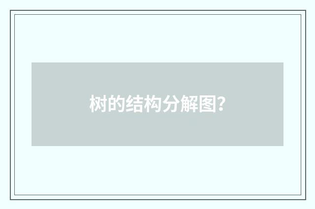 树的结构分解图?