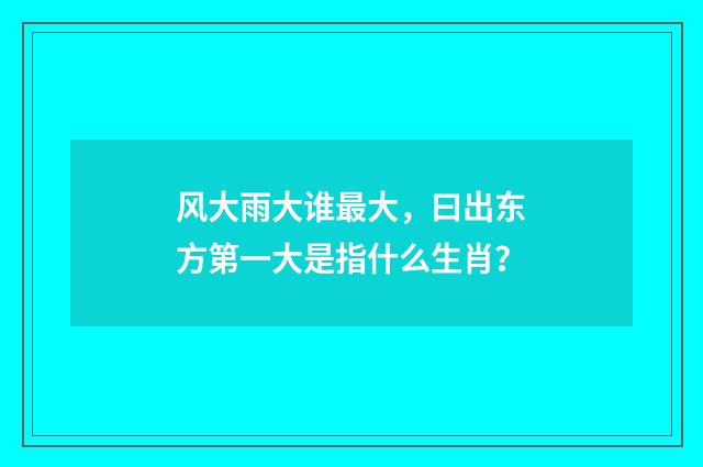 风大雨大谁最大,曰出东方第一大是指什么生肖?