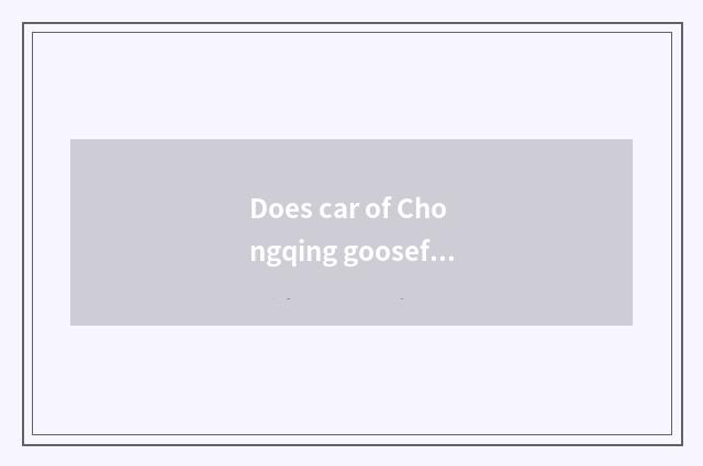 Does car of Chongqing goosefoot brave rent limited company introduction?
