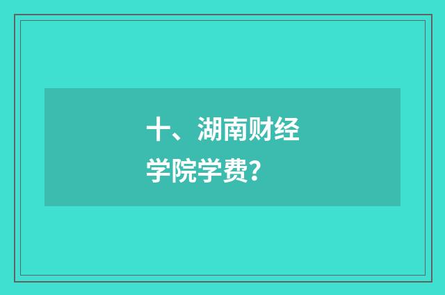 十、湖南财经学院学费？