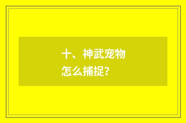 十、神武宠物怎么捕捉?