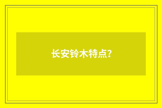 长安铃木特点?