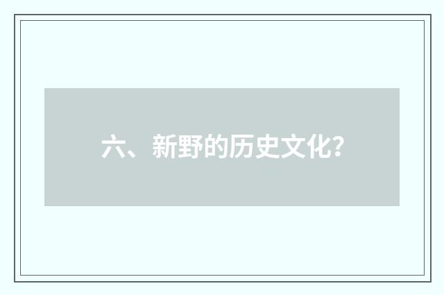 六、新野的历史文化?