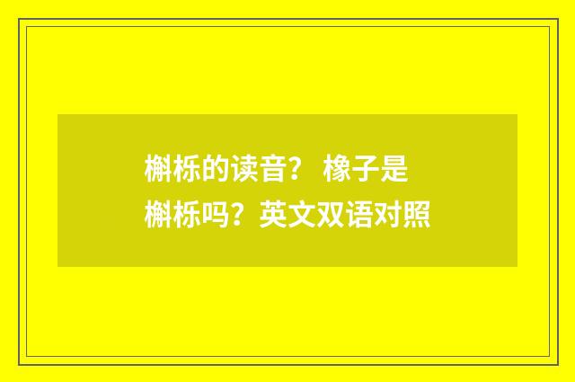槲栎的读音？ 橡子是槲栎吗？英文双语对照
