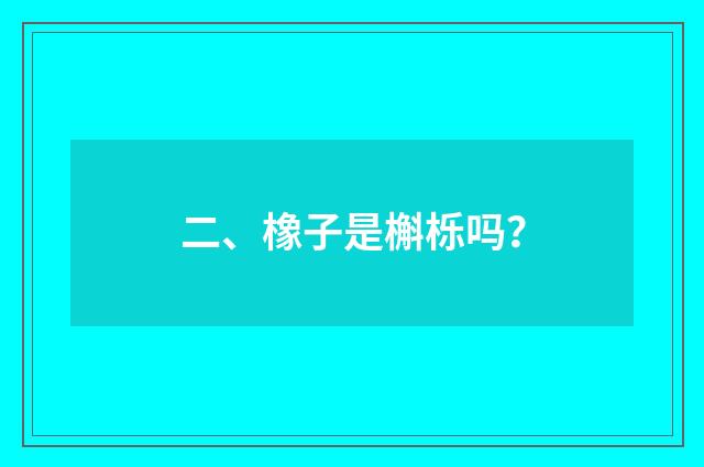 二、橡子是槲栎吗？