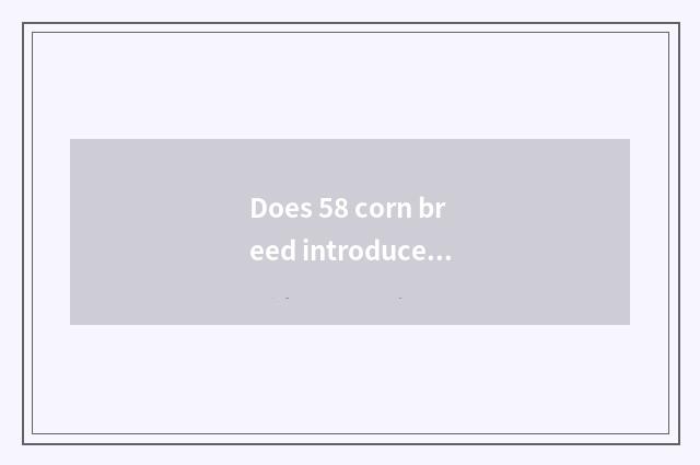 Does 58 corn breed introduce embellish east?