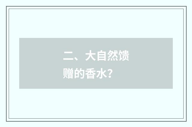 二、大自然馈赠的香水?