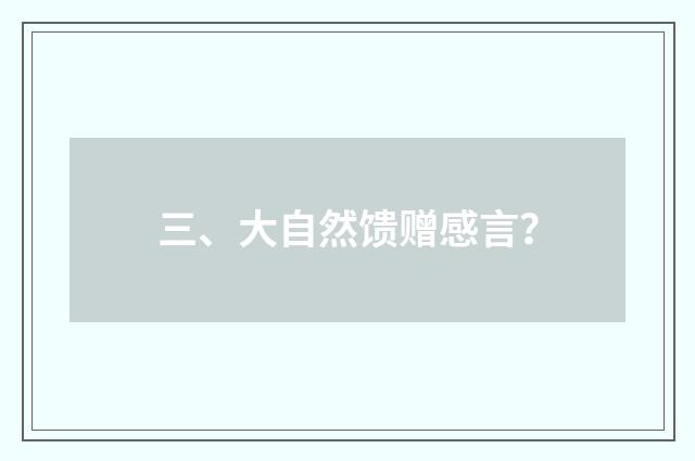 三、大自然馈赠感言？
